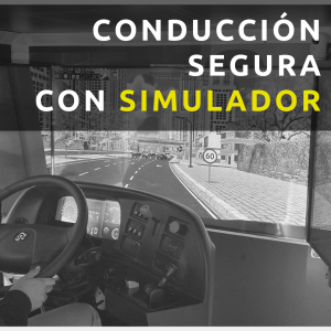 Conducción Segura con Simulador